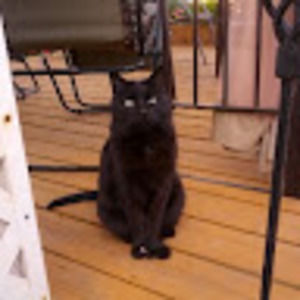 Meet your Posher, Cathy